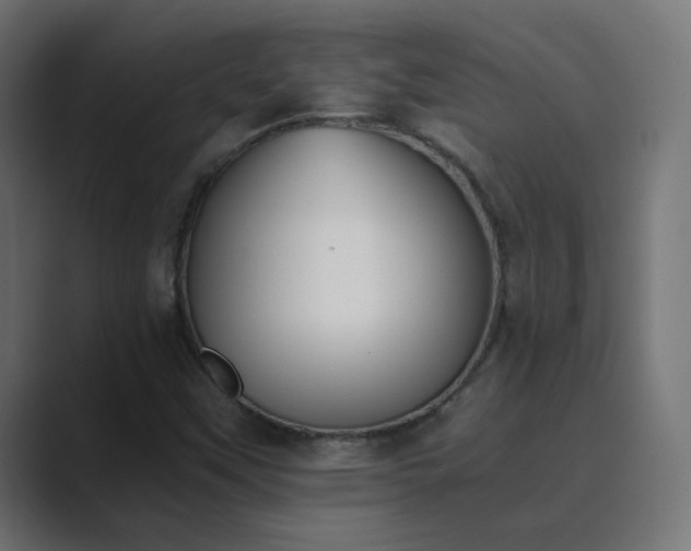 X0000089831451200706281203