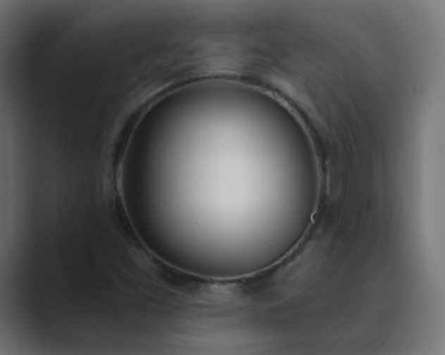 X0000089831453200706281203