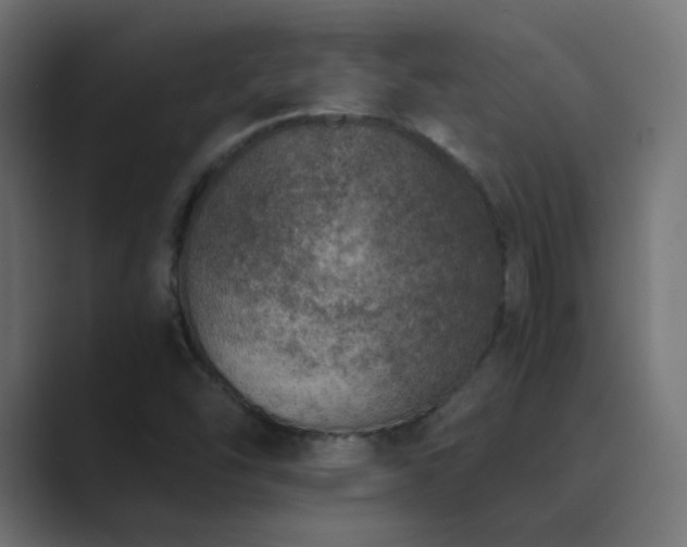 X0000089831454200706281203
