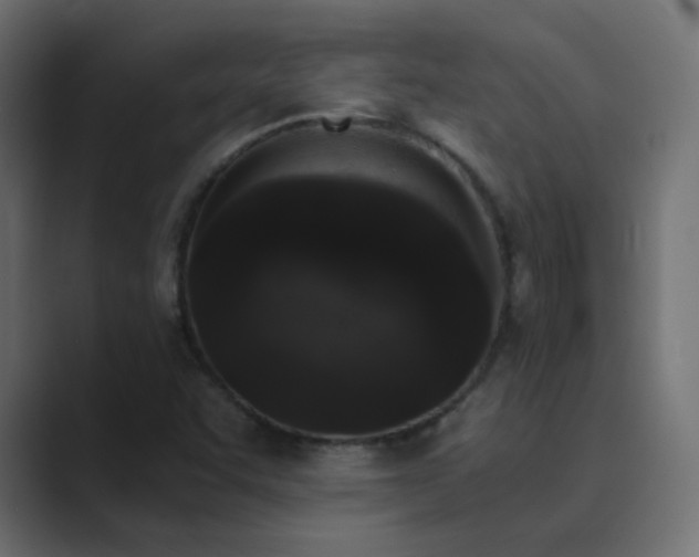 X0000089831455200706281203
