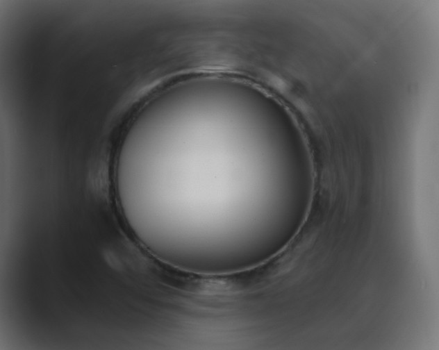 X0000089831456200706281203