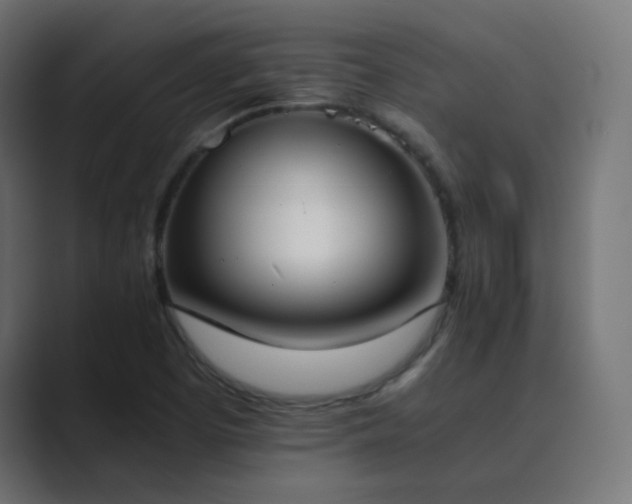 X0000089831457200706281203