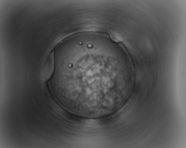 X0000089831459200706281203