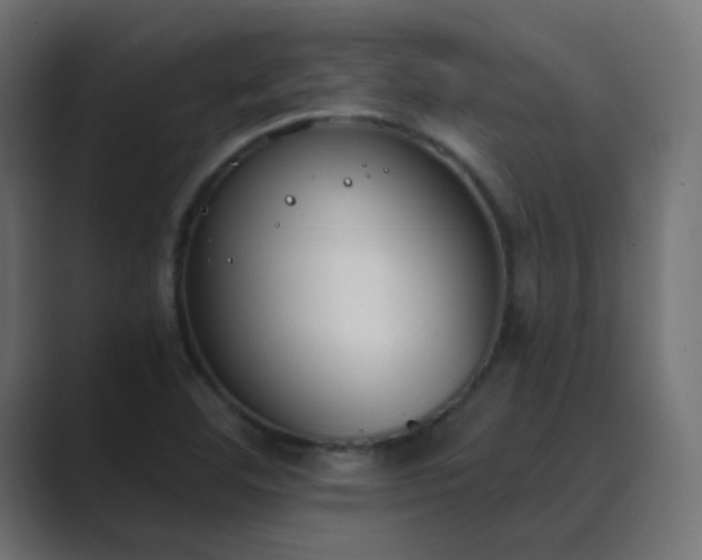 X0000089831460200706281203