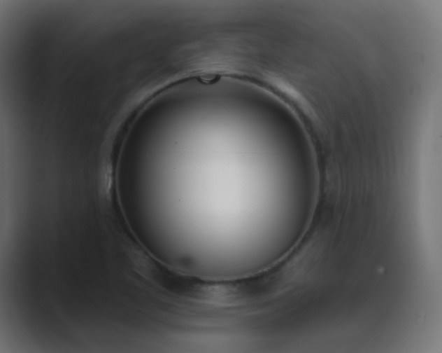 X0000089831461200706281203