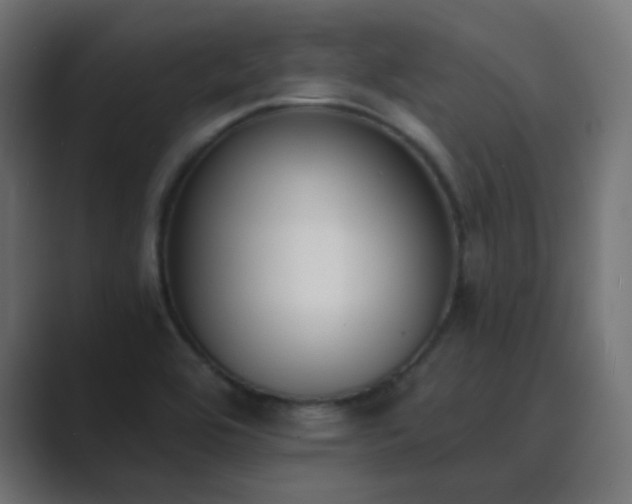X0000089831464200706281203