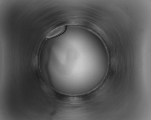 X0000089831465200706281203