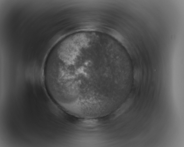 X0000089831466200706281203
