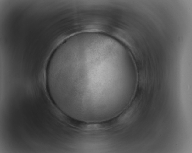 X0000089831467200706281203