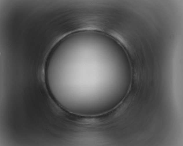 X0000089831468200706281203
