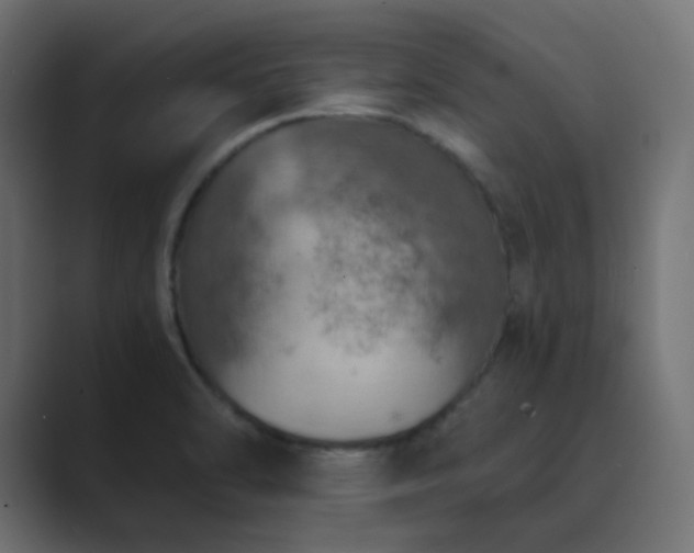 X0000089831470200706281203