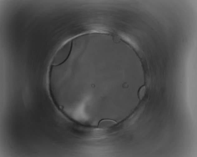 X0000089831471200706281202