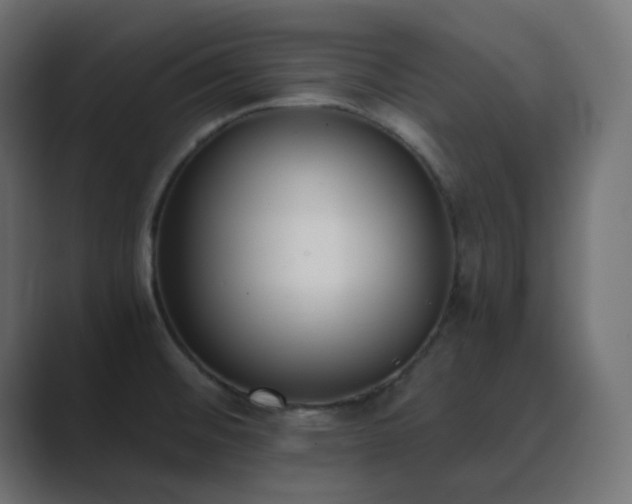 X0000089831476200706281202
