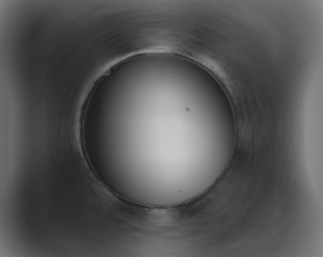 X0000089831480200706281202
