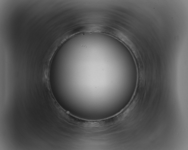 X0000089831481200706281202