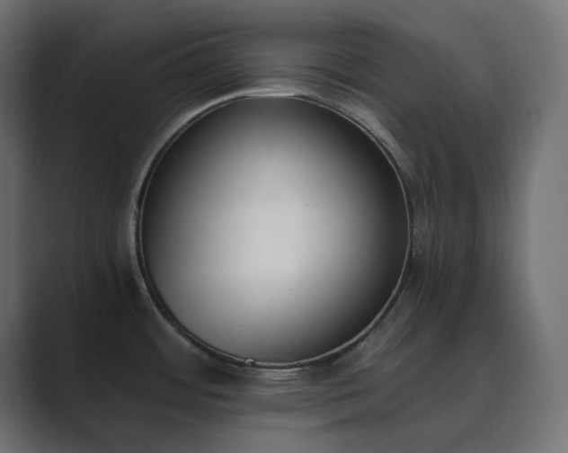 X0000089831484200706281202