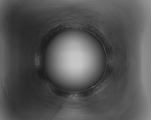 X0000089831490200706281202