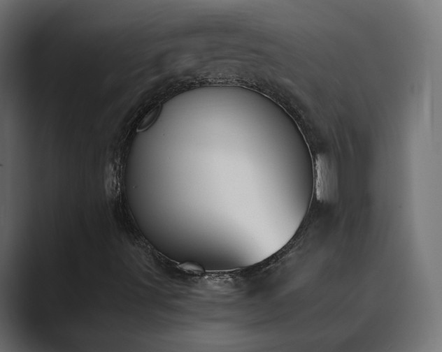 X0000089831491200706281202