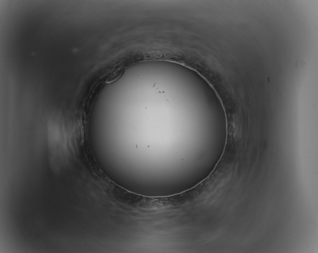 X0000089831493200706281202