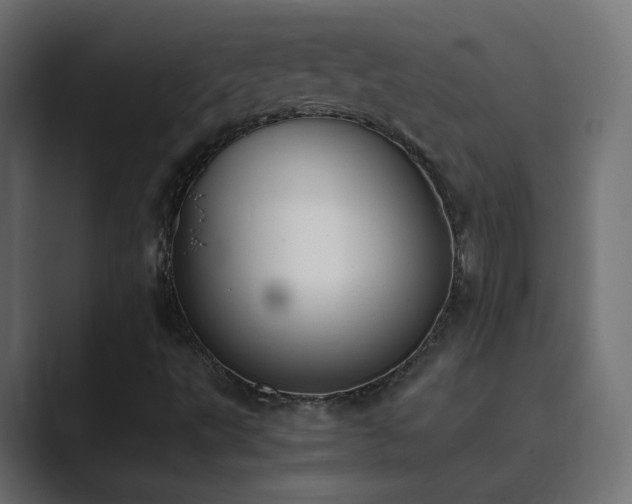 X0000089831495200706281202