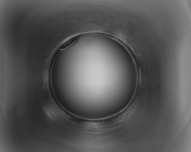X0000089831500200706281202