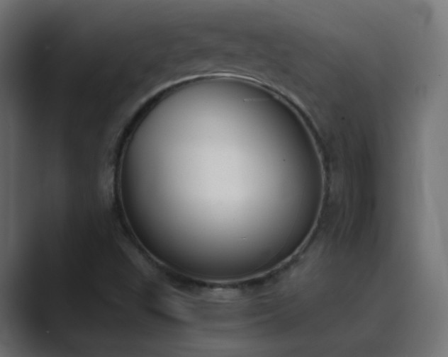 X0000089831503200706281202