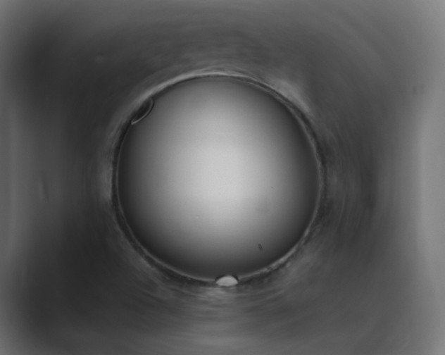 X0000089831504200706281202