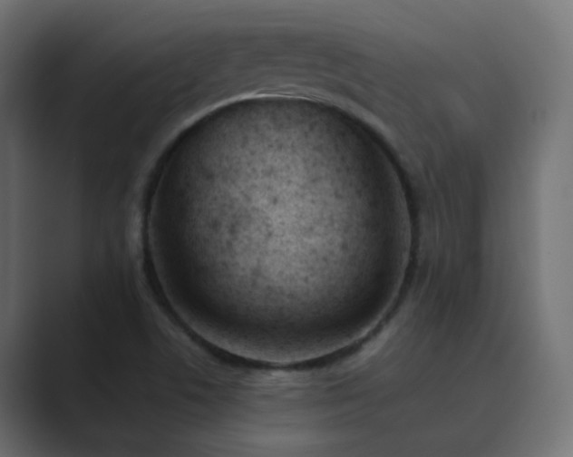 X0000089831506200706281202