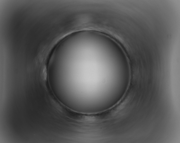 X0000089831509200706281202