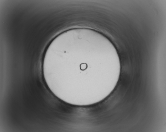 X0000089831514200706281202