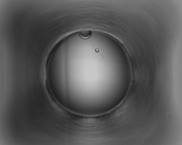 X0000089831515200706281202