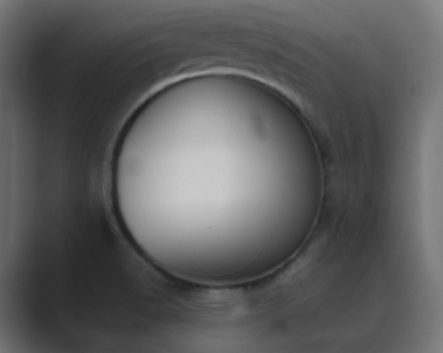 X0000089831518200706281202