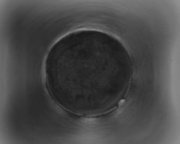 X0000089831522200706281202