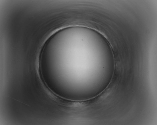 X0000089831523200706281202