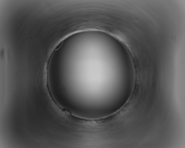 X0000089831524200706281202