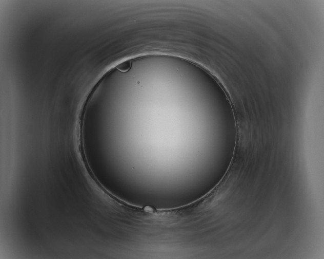 X0000089831531200706281202