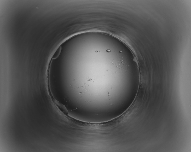 X0000089831532200706281202
