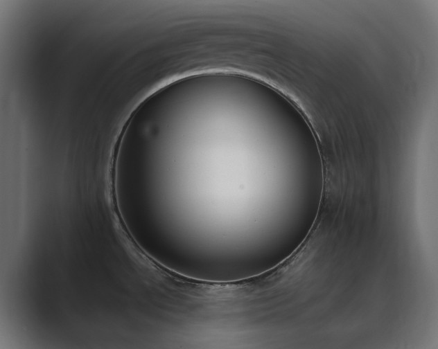 X0000089831534200706281202