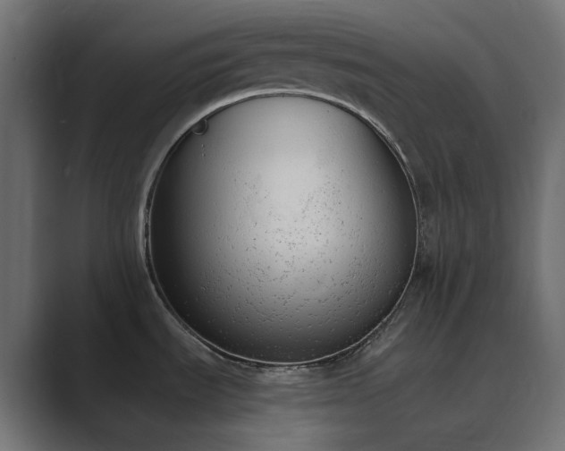 X0000089831535200706281202