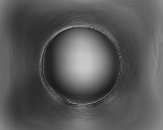 X0000089831536200706281202