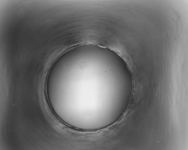 X0000089830001200707051047