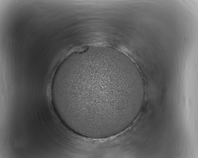 X0000089830002200707051047