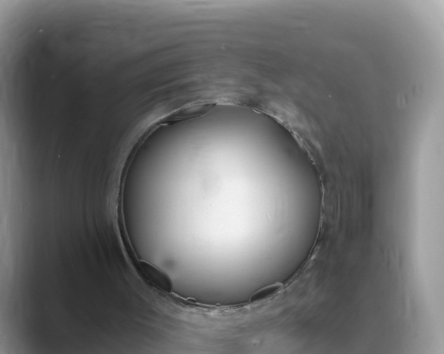 X0000089830003200707051047