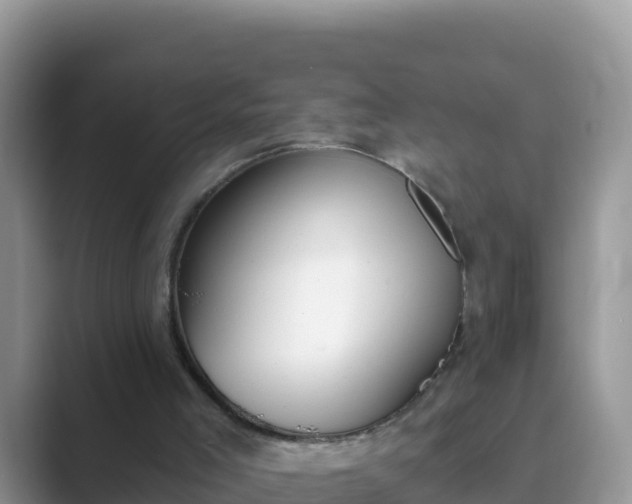 X0000089830005200707051047