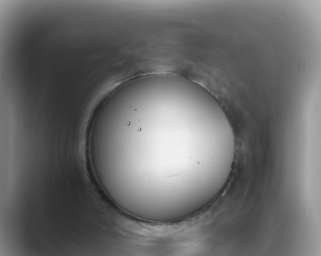 X0000089830006200707051047