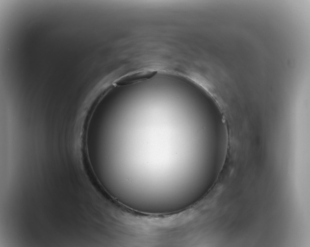 X0000089830007200707051047