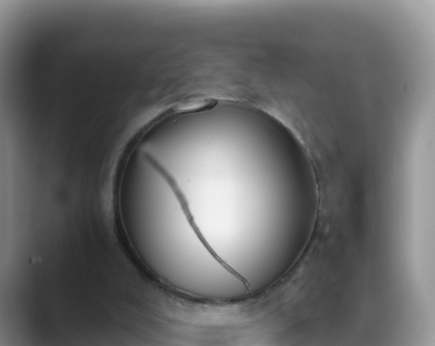 X0000089830008200707051047