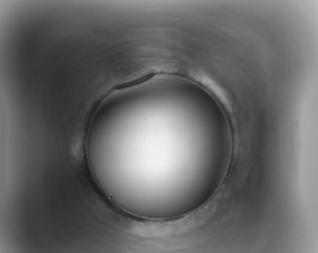 X0000089830009200707051047