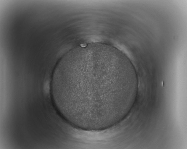 X0000089830010200707051047