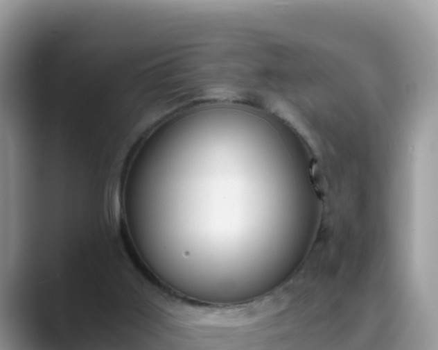 X0000089830011200707051047